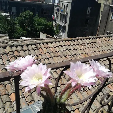 Biscari Hotel Catánia