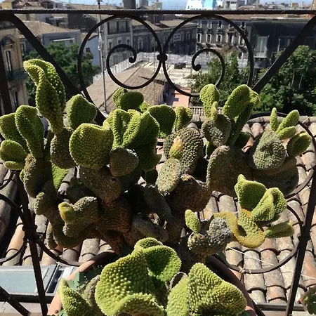 Biscari Hotel Catánia