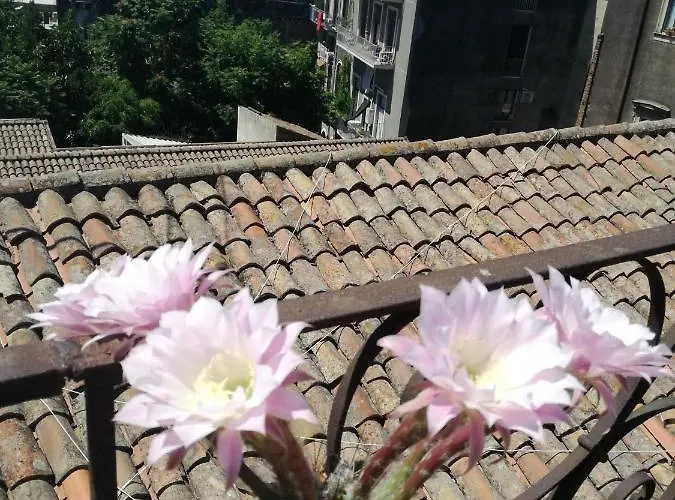 比斯卡里酒店 酒店 卡塔尼亚