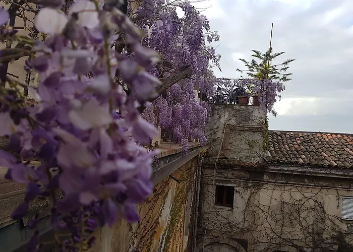 比斯卡里酒店 酒店