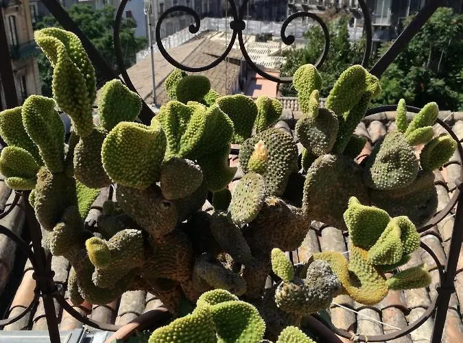 Biscari Hotel Catania